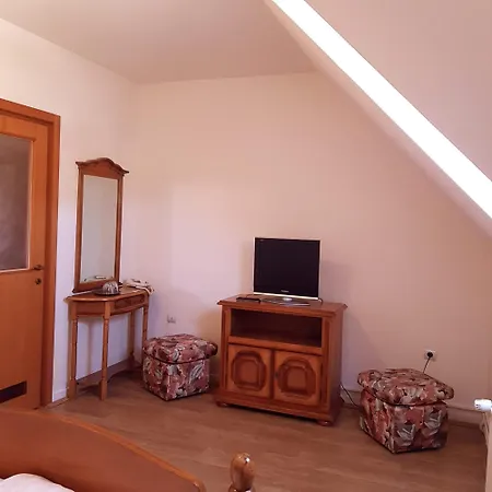 Hotel Vector Gaesti